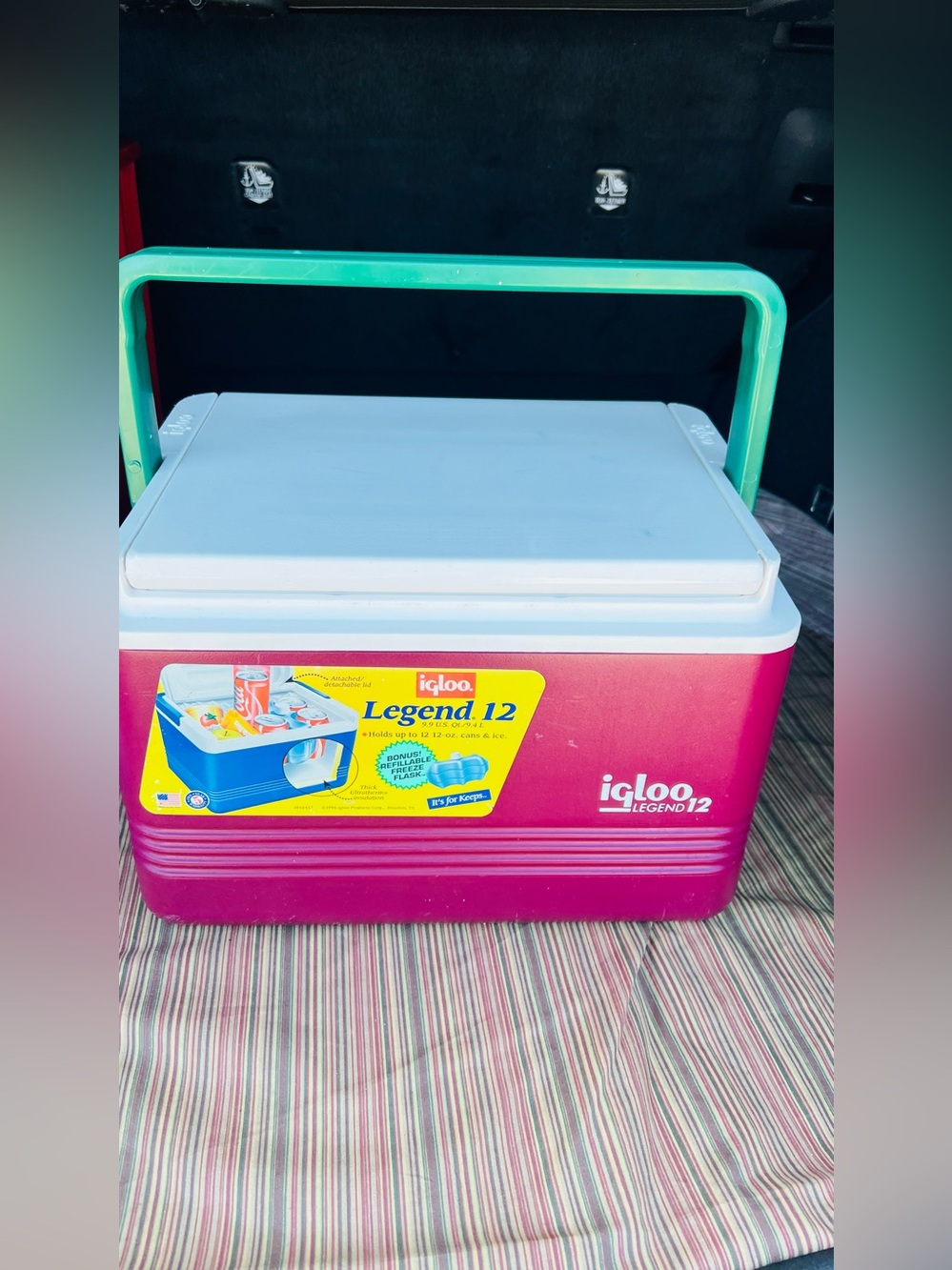 Igloo Kids Cooler in Pink with Teal Handle